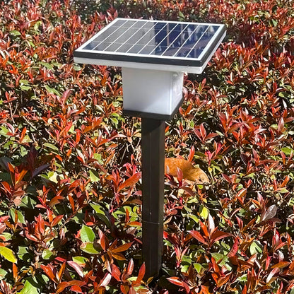 Solar Garden Pathway Light – Elegant Outdoor Landscape Lamp for Pathways & Gardens