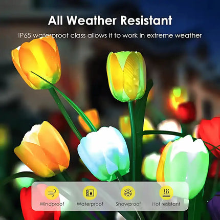 Solar tulip flower light for landscape, courtyard and garden decoration.