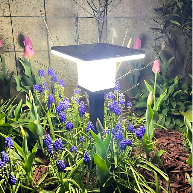Solar Garden Pathway Light – Elegant Outdoor Landscape Lamp for Pathways & Gardens – Buy Garden Light Online at FUTURKART