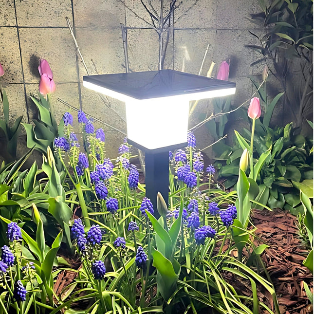 Solar Garden Pathway Light – Elegant Outdoor Landscape Lamp for Pathways & Gardens – Buy Garden Light Online at FUTURKART