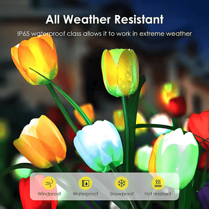 Solar LED Tulip Flower Garden Light, Waterproof Outdoor Decorative Lamp(Pack of 2) – Buy Garden Light Online at FUTURKART