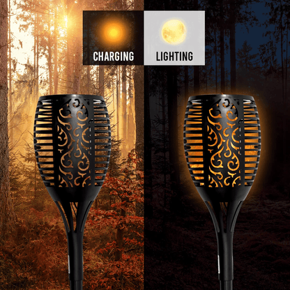 SOLAR MASHAAL LIGHT (RGB) (Pack of 2) – Buy Garden Light Online at FUTURKART