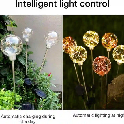 Solar-powered transparent garden light with automatic dusk-to-dawn operation.
